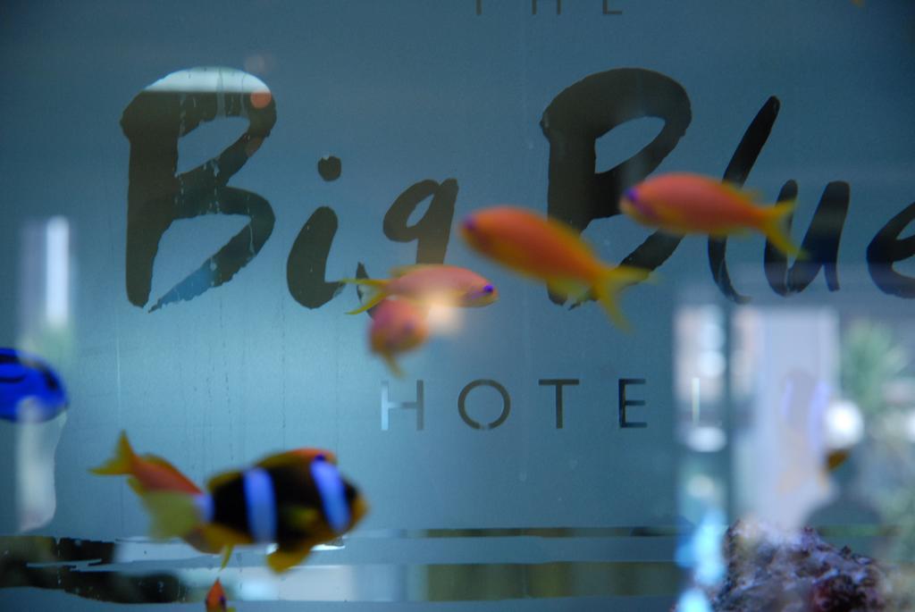 The Big Blue - Pleasure Hotel
